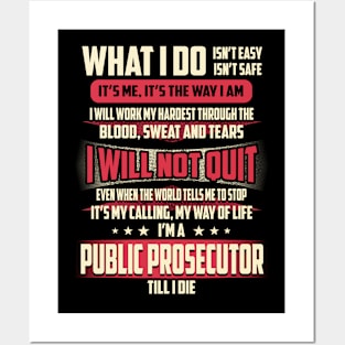 Public Prosecutor What i Do Posters and Art